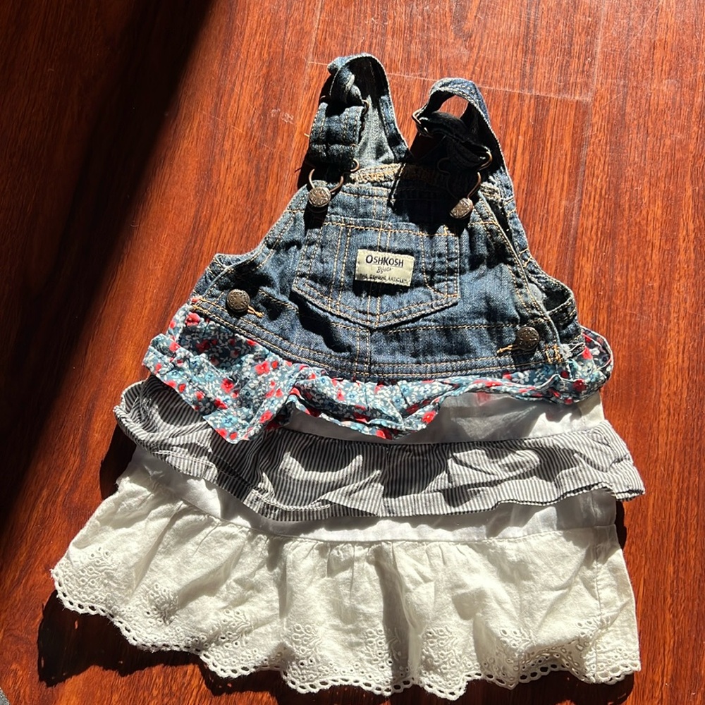 Oshkosh dress